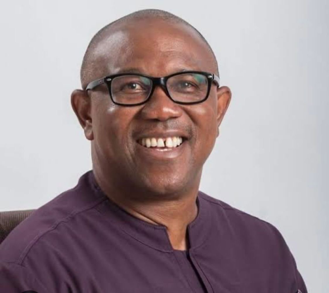 Peter Obi will support Tinubu in 2027” – Activist predicts