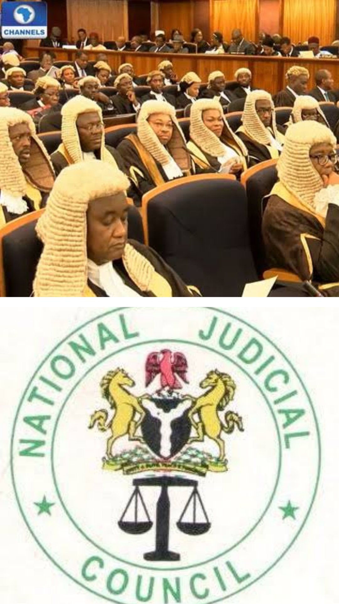 NJC dismisses 73 petitions, suspends two Judges.