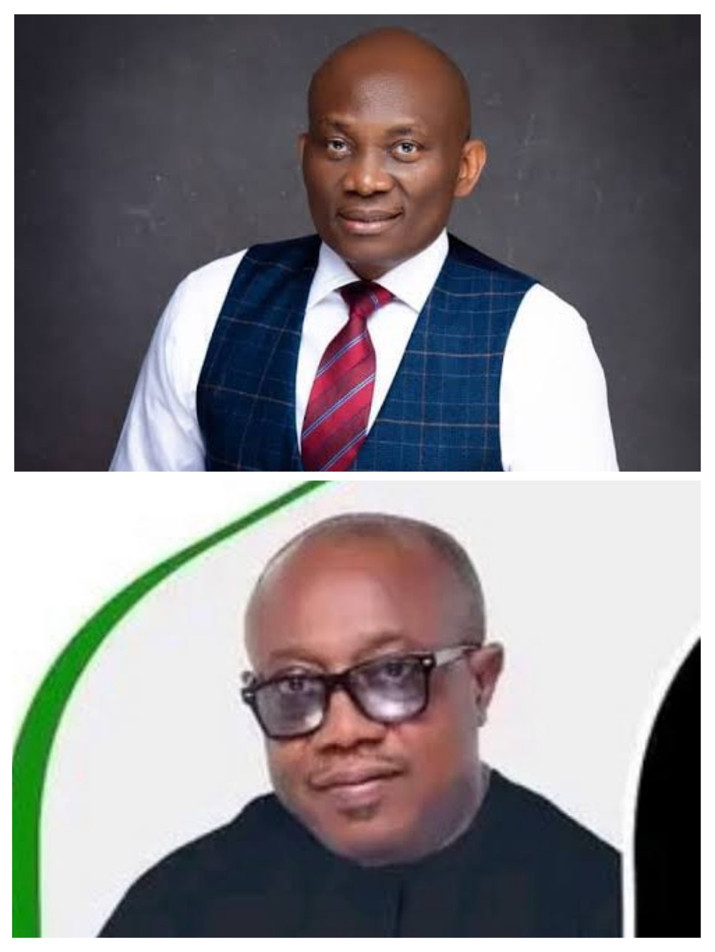 Elumelu humiliates Ngozi Okolie at APC House of Reps primaries.